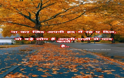 had shayari hindi background